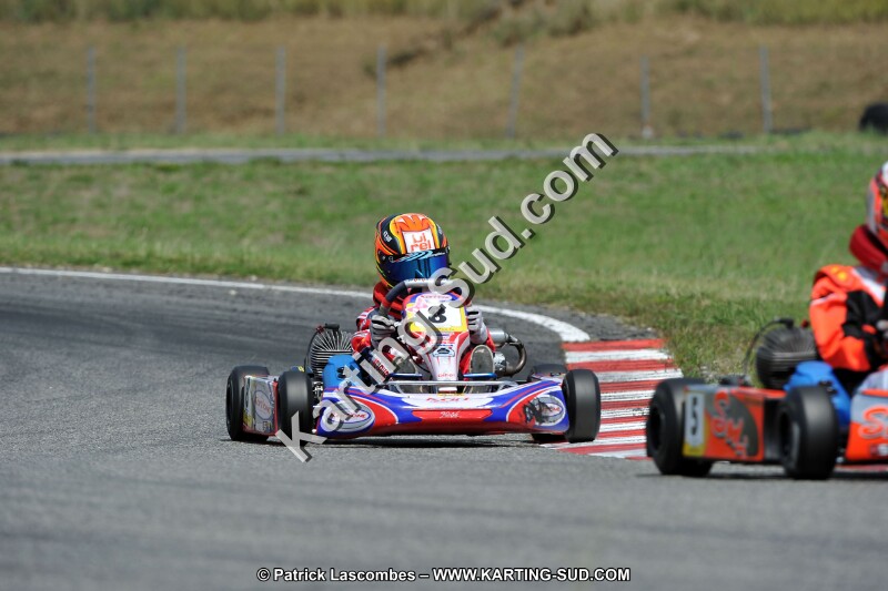 DSC_ (436).jpg